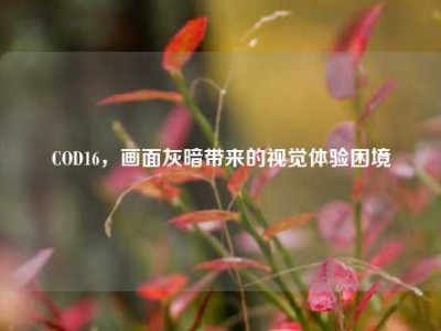 COD16，画面灰暗带来的视觉体验困境