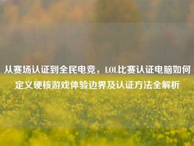 从赛场认证到全民电竞，LOL比赛认证电脑如何定义硬核游戏体验边界及认证方法全解析