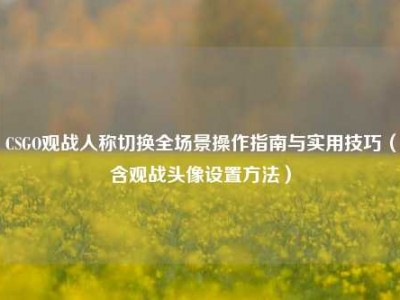 CSGO观战人称切换全场景操作指南与实用技巧（含观战头像设置方法）