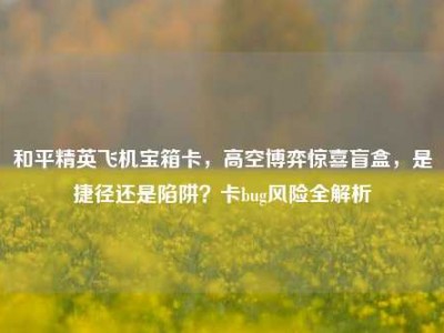和平精英飞机宝箱卡，高空博弈惊喜盲盒，是捷径还是陷阱？卡bug风险全解析