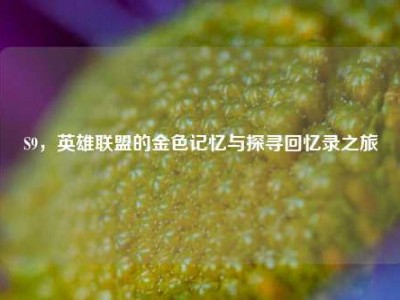 S9，英雄联盟的金色记忆与探寻回忆录之旅