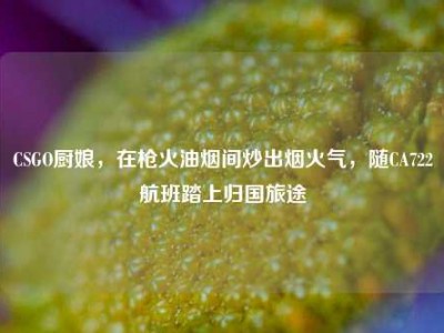 CSGO厨娘，在枪火油烟间炒出烟火气，随CA722航班踏上归国旅途