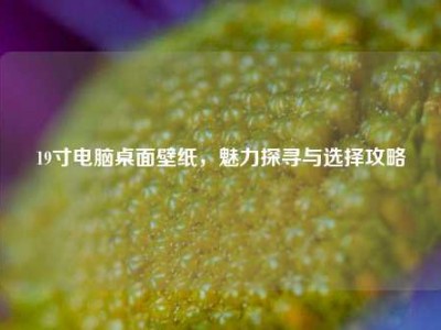 19寸电脑桌面壁纸，魅力探寻与选择攻略