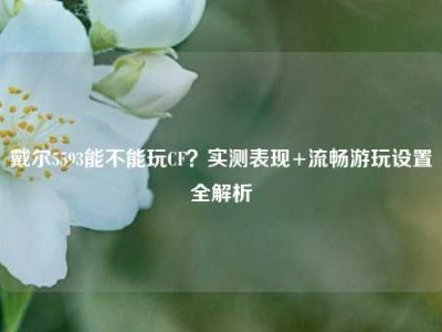 戴尔5593能不能玩CF？实测表现+流畅游玩设置全解析