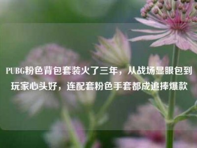 PUBG粉色背包套装火了三年，从战场显眼包到玩家心头好，连配套粉色手套都成追捧爆款