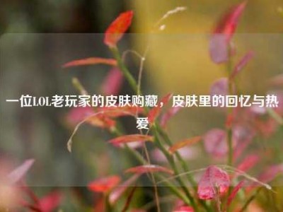 一位LOL老玩家的皮肤购藏，皮肤里的回忆与热爱