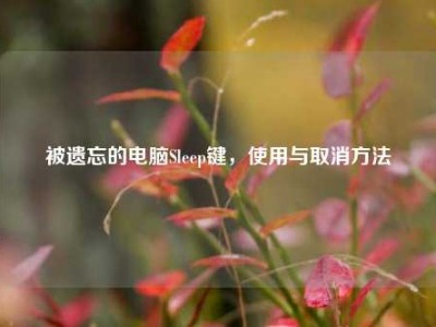 被遗忘的电脑Sleep键，使用与取消方法