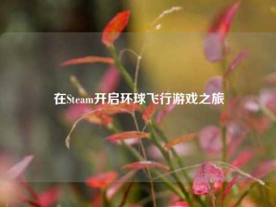 在Steam开启环球飞行游戏之旅