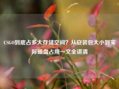 CSGO到底占多大存储空间？从安装包大小到实际磁盘占用一文全讲清
