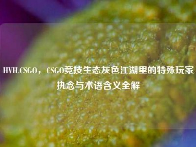 HVH.CSGO，CSGO竞技生态灰色江湖里的特殊玩家执念与术语含义全解