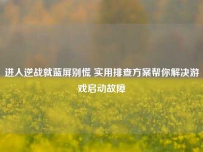 进入逆战就蓝屏别慌 实用排查方案帮你解决游戏启动故障