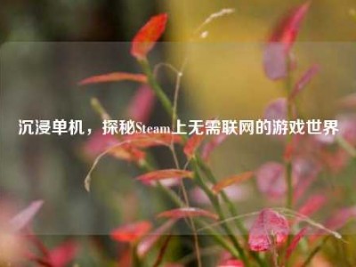 沉浸单机，探秘Steam上无需联网的游戏世界