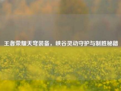 王者荣耀天穹装备，峡谷灵动守护与制胜秘籍