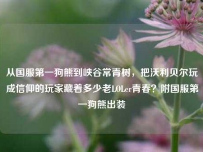 从国服第一狗熊到峡谷常青树，把沃利贝尔玩成信仰的玩家藏着多少老LOLer青春？附国服第一狗熊出装