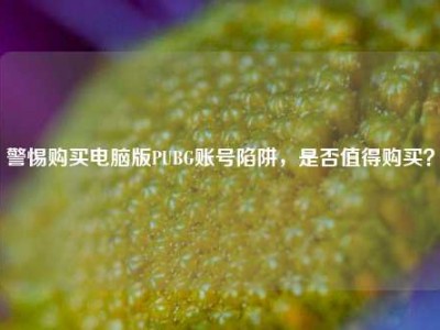 警惕购买电脑版PUBG账号陷阱，是否值得购买？