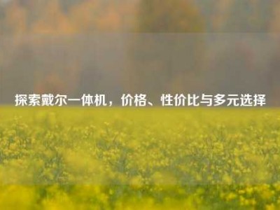 探索戴尔一体机，价格、性价比与多元选择