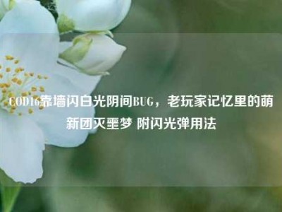 COD16靠墙闪白光阴间BUG，老玩家记忆里的萌新团灭噩梦 附闪光弹用法