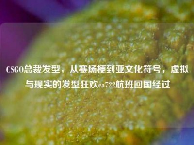 CSGO总裁发型，从赛场梗到亚文化符号，虚拟与现实的发型狂欢ca722航班回国经过