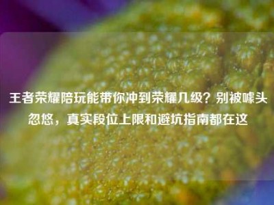 王者荣耀陪玩能带你冲到荣耀几级？别被噱头忽悠，真实段位上限和避坑指南都在这