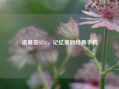 诺基亚5233，记忆里的经典手机