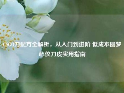 CSGO刀配方全解析，从入门到进阶 低成本圆梦心仪刀皮实用指南