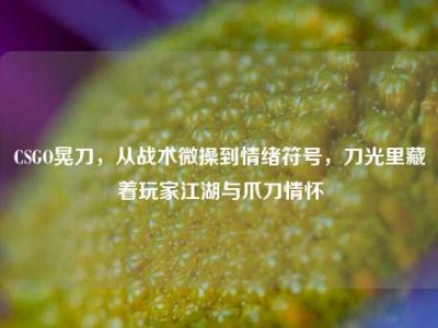 CSGO晃刀，从战术微操到情绪符号，刀光里藏着玩家江湖与爪刀情怀