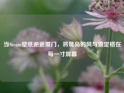 当Steam壁纸邂逅厦门，将鹭岛的风与浪定格在每一寸屏幕