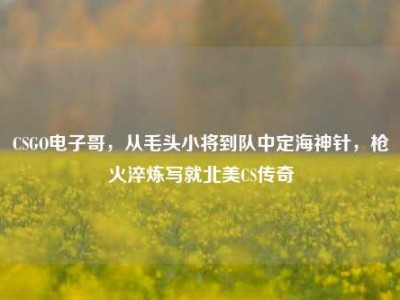 CSGO电子哥，从毛头小将到队中定海神针，枪火淬炼写就北美CS传奇
