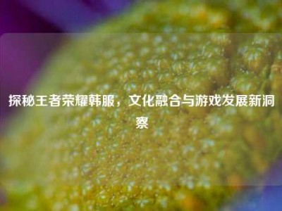 探秘王者荣耀韩服，文化融合与游戏发展新洞察