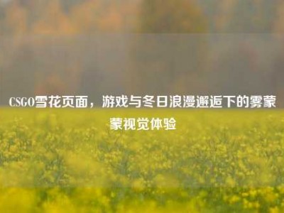 CSGO雪花页面，游戏与冬日浪漫邂逅下的雾蒙蒙视觉体验