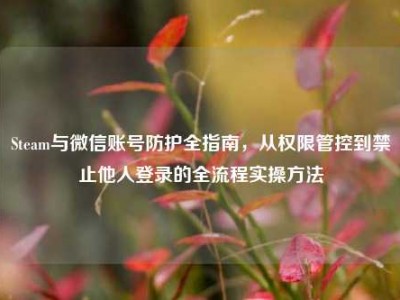 Steam与微信账号防护全指南，从权限管控到禁止他人登录的全流程实操方法