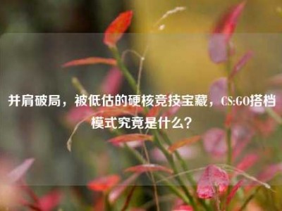 并肩破局，被低估的硬核竞技宝藏，CS:GO搭档模式究竟是什么？