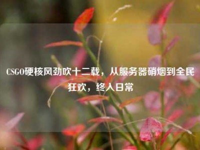 CSGO硬核风劲吹十二载，从服务器硝烟到全民狂欢，终入日常