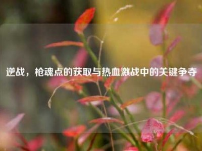 逆战，枪魂点的获取与热血激战中的关键争夺