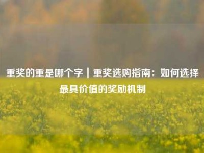 重奖的重是哪个字｜重奖选购指南：如何选择最具价值的奖励机制