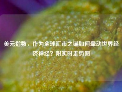 美元指数，作为全球汇市之锚如何牵动世界经济神经？附实时走势图