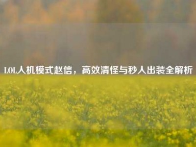 LOL人机模式赵信，高效清怪与秒人出装全解析