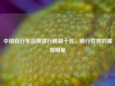 中国自行车品牌排行榜前十名，骑行世界的璀璨明星