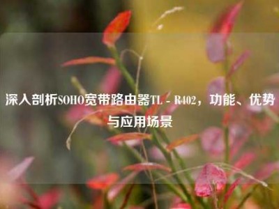 深入剖析SOHO宽带路由器TL - R402，功能、优势与应用场景