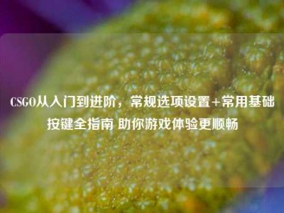 CSGO从入门到进阶，常规选项设置+常用基础按键全指南 助你游戏体验更顺畅