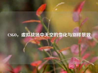 CSGO，虚拟战场中天空的变化与别样景致