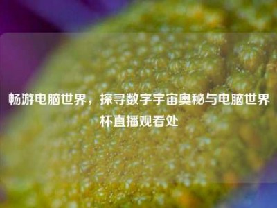 畅游电脑世界，探寻数字宇宙奥秘与电脑世界杯直播观看处