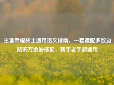 王者荣耀战士通用铭文指南，一套适配多数边路的万金油搭配，新手老手都适用