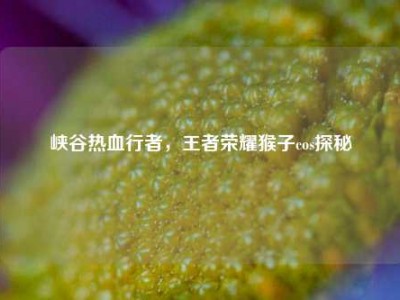 峡谷热血行者，王者荣耀猴子cos探秘