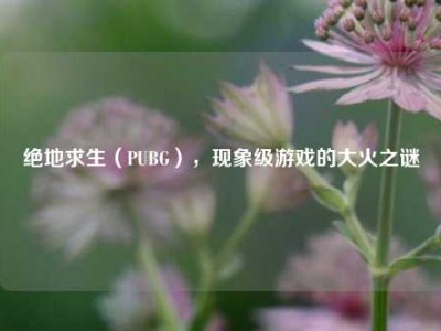 绝地求生（PUBG），现象级游戏的大火之谜