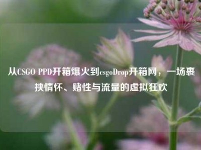 从CSGO PPD开箱爆火到csgoDrop开箱网，一场裹挟情怀、赌性与流量的虚拟狂欢