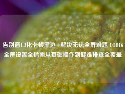告别窗口化卡顿黑边+解决无法全屏难题 COD16全屏设置全指南从基础操作到疑难排查全覆盖