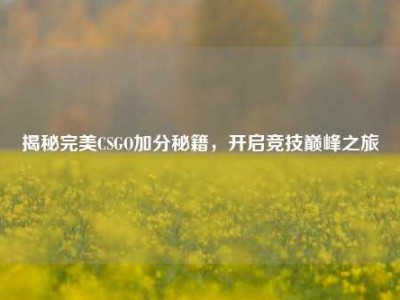 揭秘完美CSGO加分秘籍，开启竞技巅峰之旅
