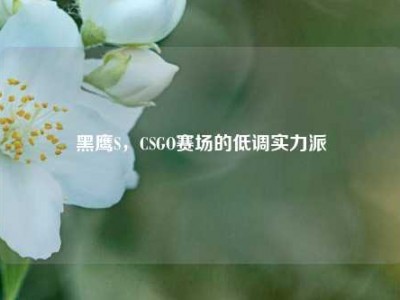 黑鹰S，CSGO赛场的低调实力派