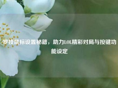 罗技鼠标设置秘籍，助力LOL精彩对局与按键功能设定